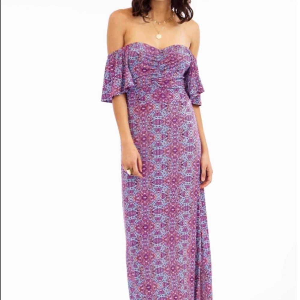 Augustin Maxi Dress NWT!